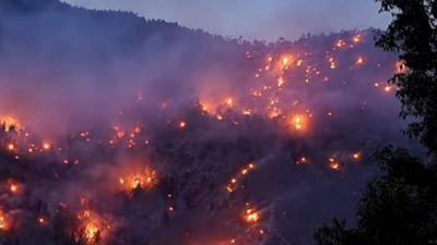 Himachal Pradesh: Kinnaur forest under massive fire for past 3 days