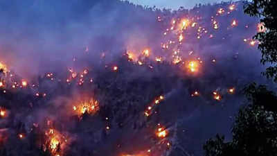 Himachal Pradesh village, rare trees at risk as wildfire rages on