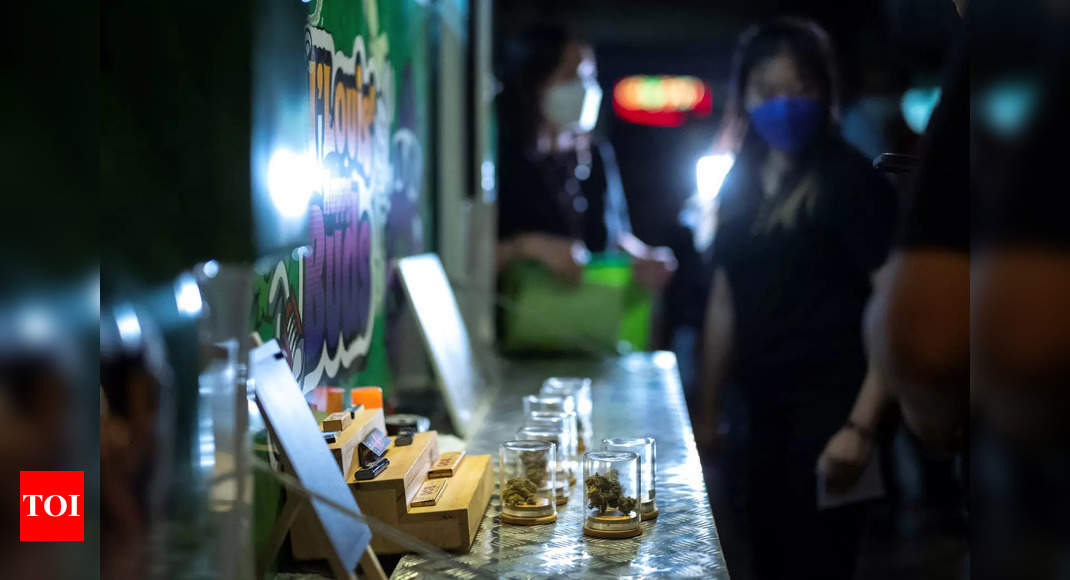 bangkok : Le camion pop-up de cannabis de Bangkok est populaire auprès des touristes