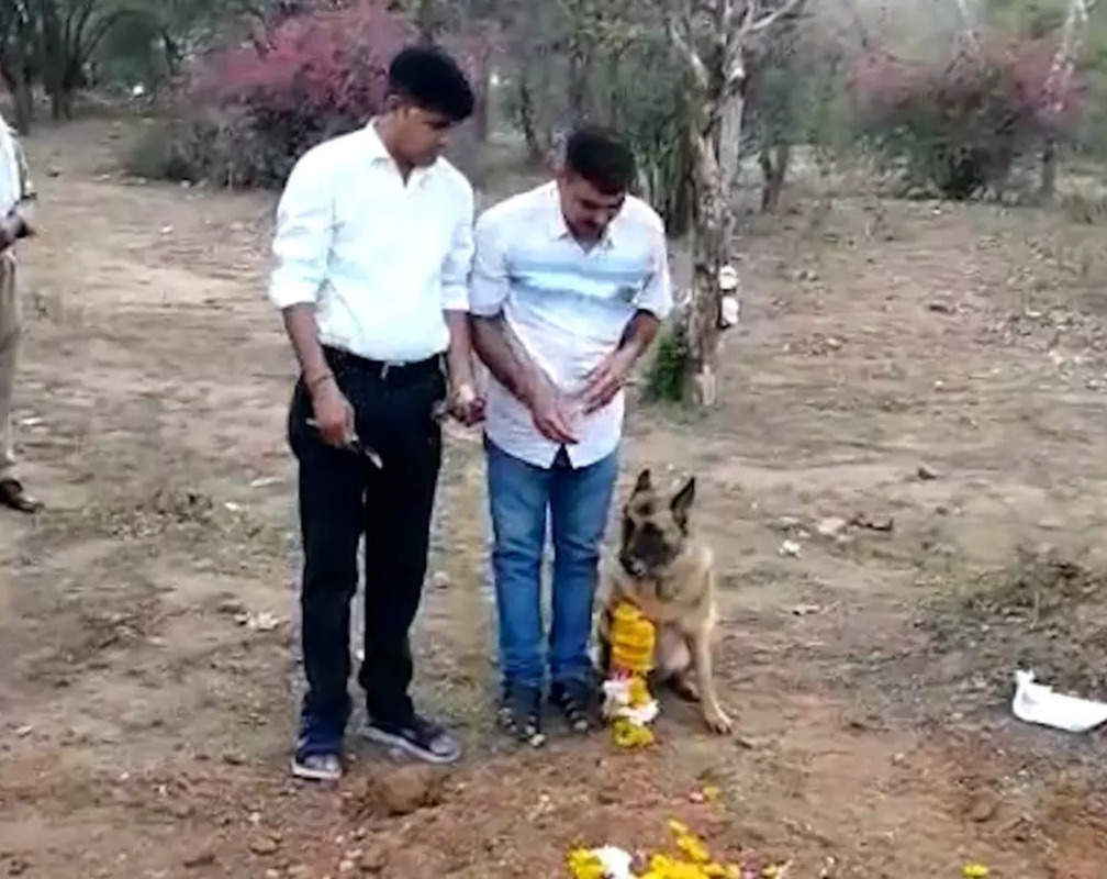 
Dog smells the owner's grave and lays garland on it
