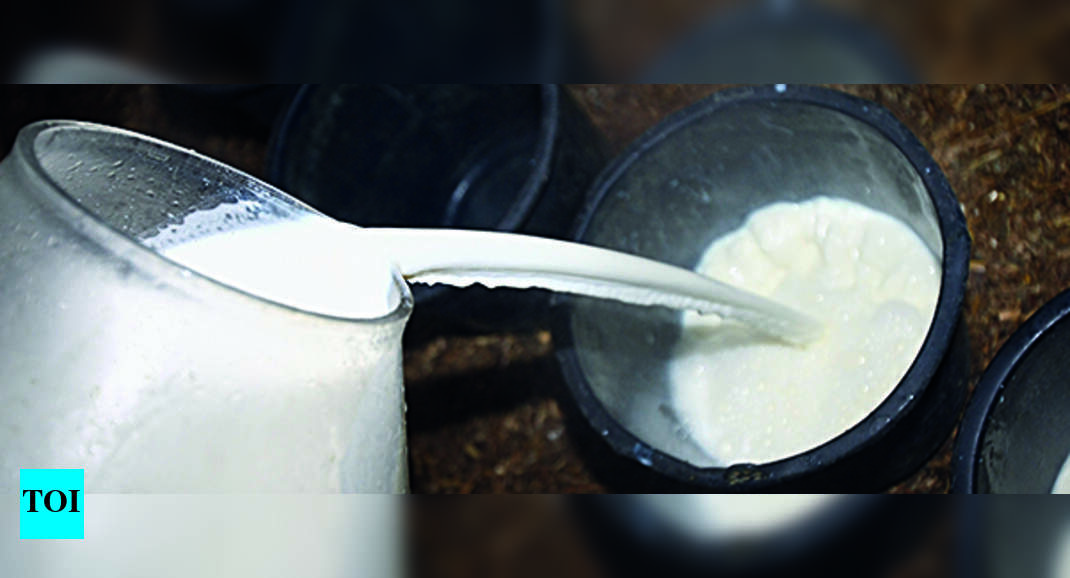 Fda Fda Collecting Samples Of Milk And Dairy Products To Look For