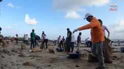 Throwback to when Femina Miss India 2019 state winners teamed up for beach cleaning with Dia Mirza