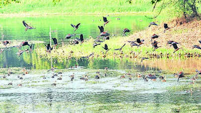 Bihar govt to make health card of 133 wetlands