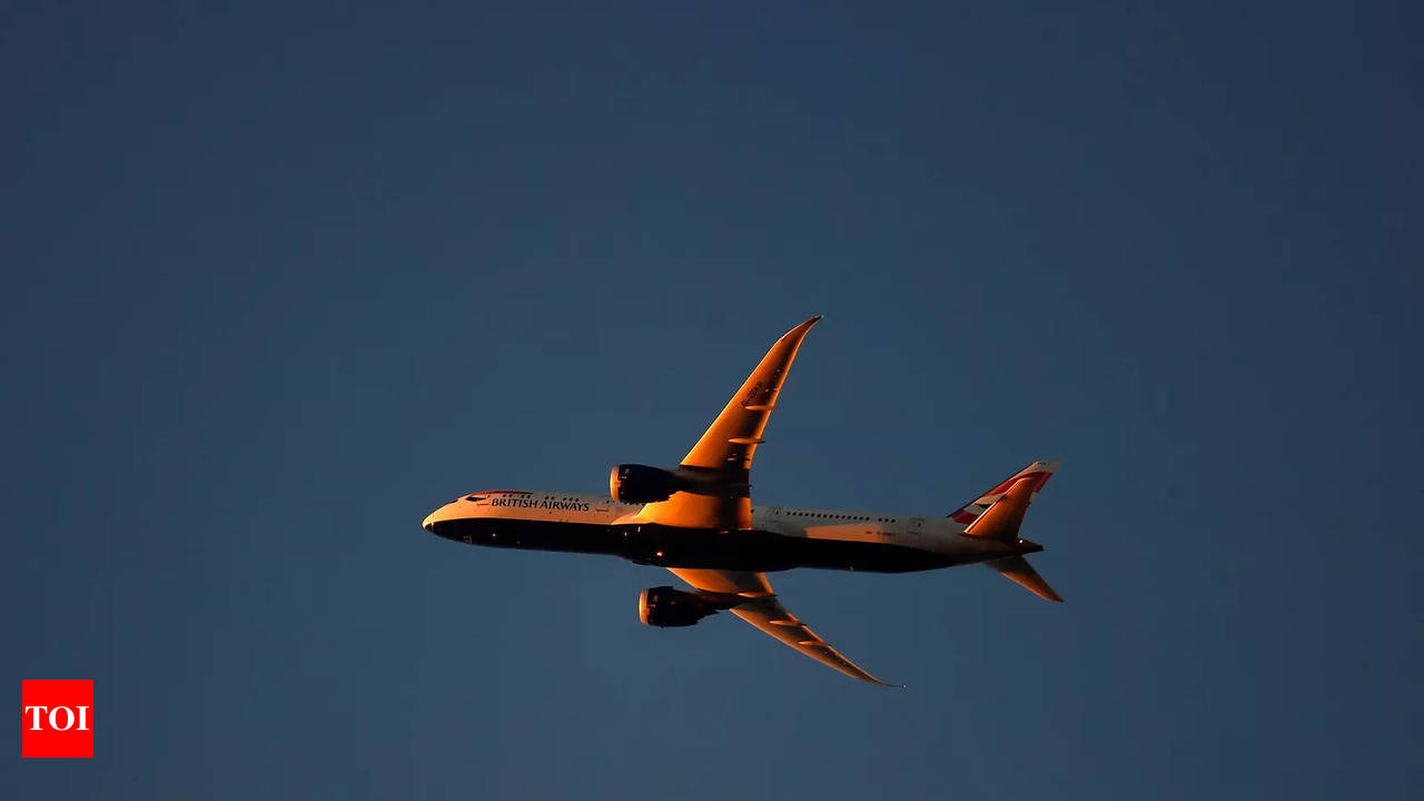 British airways plane attacked by 2025 birds hoax