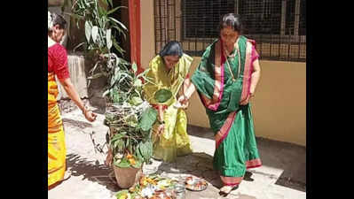 Navi Mumbai: Vat Poornima rituals performed around potted plant in Nerul