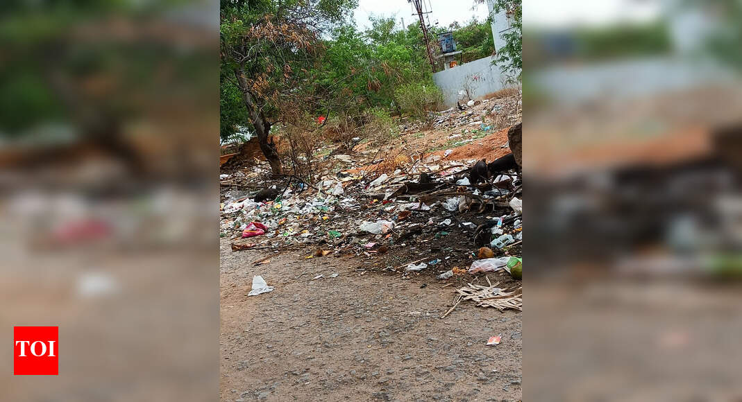 Garbage Dump Times of India