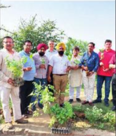 FMAI to plant 5k trees in Ludhiana