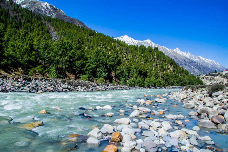 Fishing at River Baspa