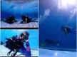 
Milind Soman and Ankita Konwar are holidaying and scuba diving: See Pics
