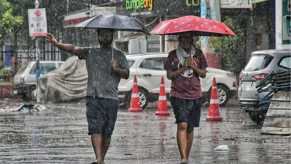 Photos: Splash of rain bring respite from heat in Delhi-NCR