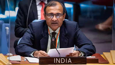 There cannot be 'double standards' on religiophobia: India at UN