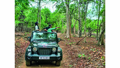 Odisha: Debrigarh trail focuses on history