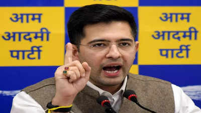 Stop trial by fire: Raghav Chadha to Defence Minister Rajnath Singh