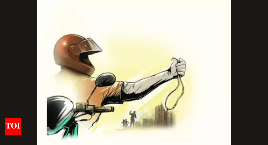 Chain Snatchers Strike At Two Places, Loot 6 Tola Gold Chains ...