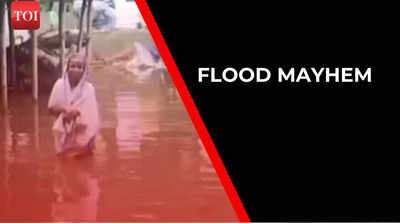 Assam: Flood mayhem continues, over 3.52 lakh people affected