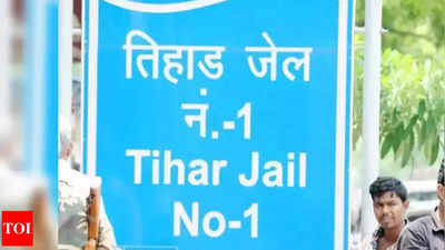 ED opposes shifting of Sukesh Chandrashekhar out of Tihar