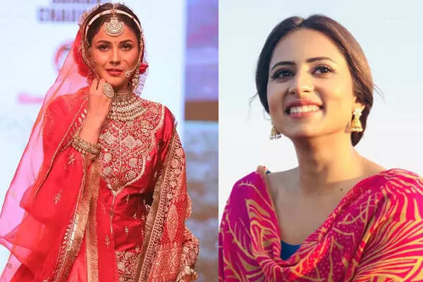 5 Punjabi actresses who got replaced