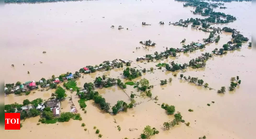 Assam Assam Flood Situation Worsens In Karimganj More Than 134 Lakh Affected India News 0806