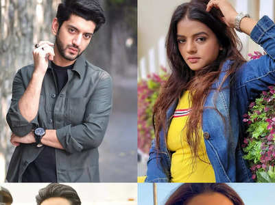TV celebs who are also singers