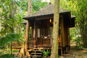 Beautiful places to stay at Andamans' Havelock Island
