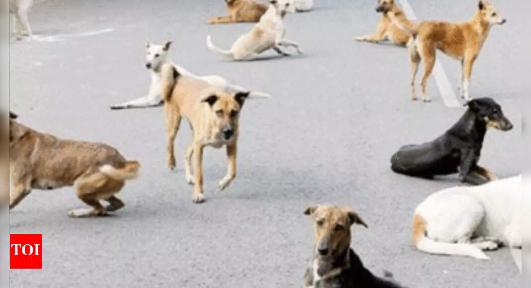 Autopsy Autopsy Inconclusive, Hope Rests On Blood Tests Of Survivor