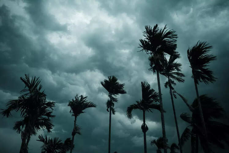 Check the weather forecast
