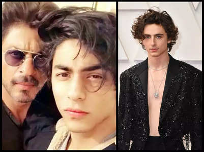 Aryan inspired by Timothée's filmography