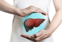 Coronavirus explainer: Potential effects of COVID on liver health; know the key indicators