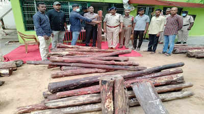 Andhra Pradesh: Task force sleuths seize 29 red sanders logs worth Rs 25 lakh