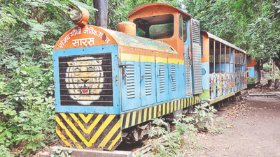 Govt bid to resume toy train service at Patna zoo