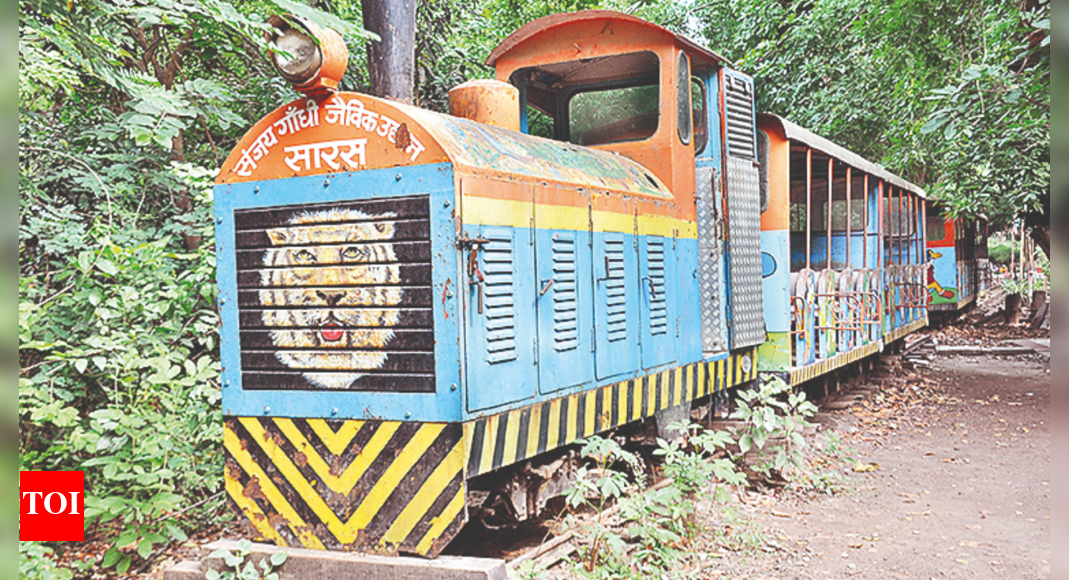 Patna Govt Bid To Resume Toy Train Service At Zoo Patna News Times