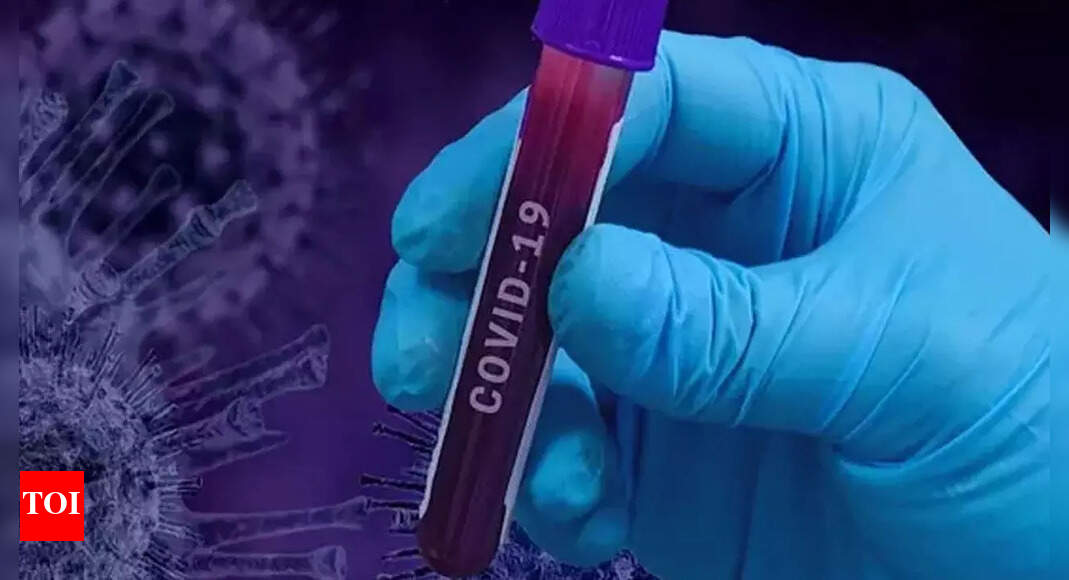 Covid Amid Spike In Covid Cases, Hry To Take Stock Of Vax & Testing