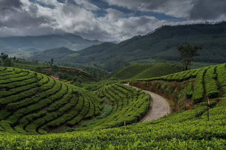 Best of Western Ghats during the monsoon season | Times of India Travel