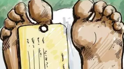 banner img