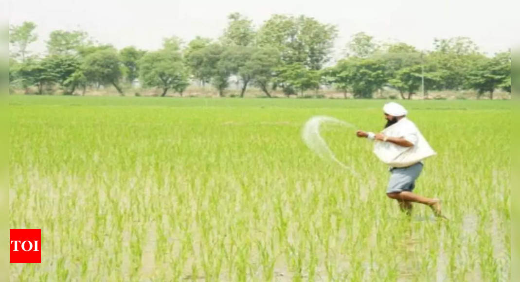 Rice Planting: Rice planting down 46% from last year, likely to pick up | India Business News – Times of India