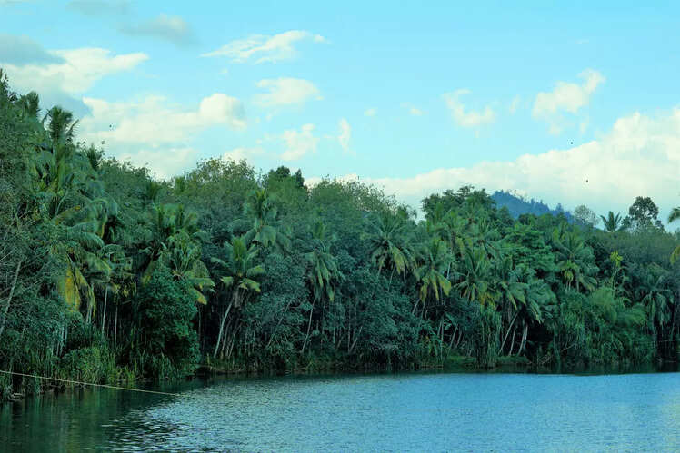 Island Express: Kanyakumari to Trivandrum