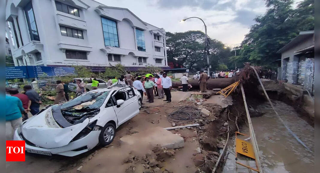 Woman dies as tree falls on car in Chennai | Chennai News - Times of India