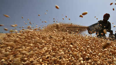 India's wheat, rice stock to be just over buffer level in October