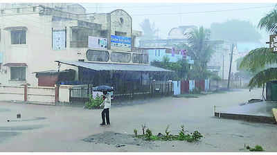 Nashik district gets average 30mm rain as monsoon gains momentum