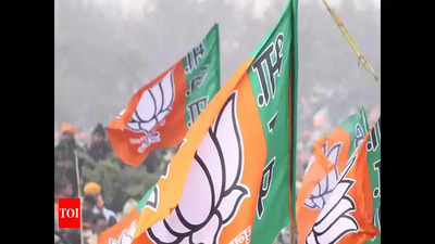 Ahmedabad: "Another setback for opposition parties" said BJP