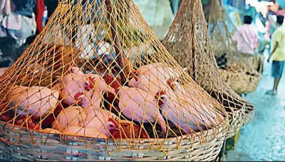 Kolkata: Feed cost, fuel price rise push up chicken, egg rates
