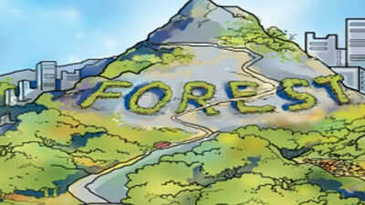 Drones To Keep Vigil On Inaccessible Forests During Rainy Season ...