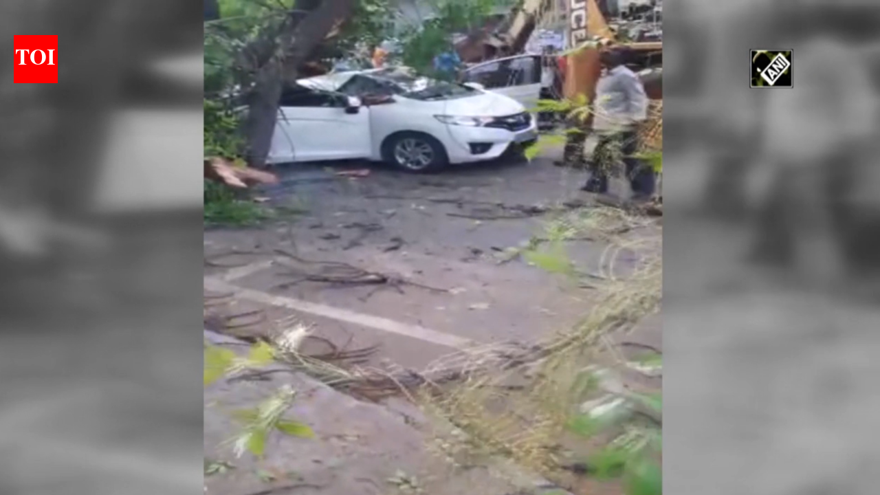 Tamil Nadu: Woman dies after tree falls on car in Chennai
