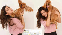 Rashmika Mandanna's hilarious reaction to reports saying she demanded flight tickets for her pet dog from producers: 'Couldn’t stop laughing. This made my day'