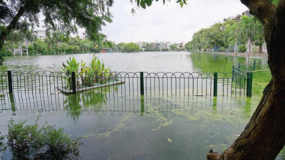 Some revamp stuck midway, Rs 99 crore marked to give 38 waterbodies new life in Delhi