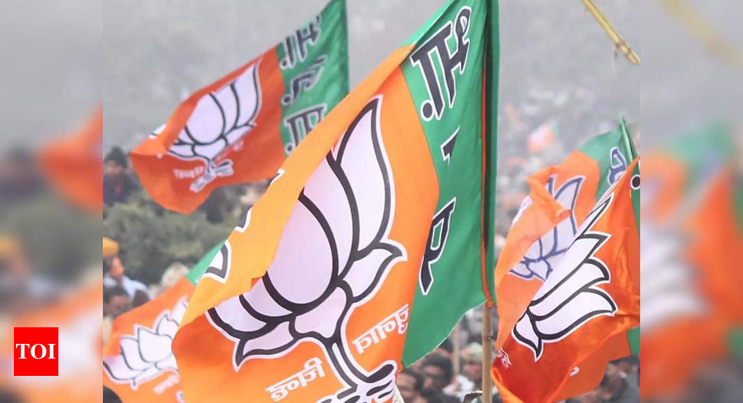 bjp-in-no-rush-to-show-its-cards-confident-of-returning-to-power