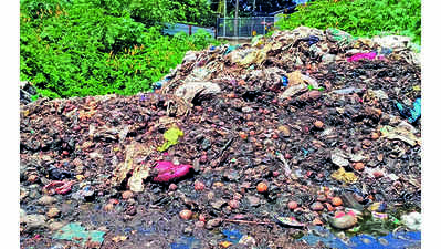 Thiruvananthapuram: Waste menace haunts Chalai