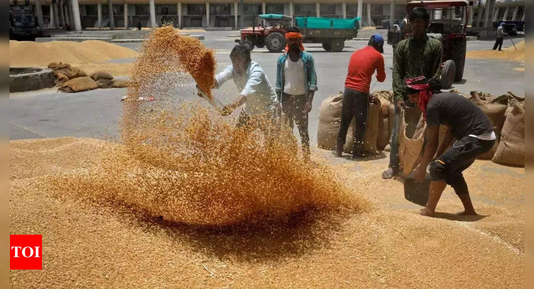 India exported 18L tonnes of wheat as ‘food aid’ since May restrictions: Govt | India News – Times of India