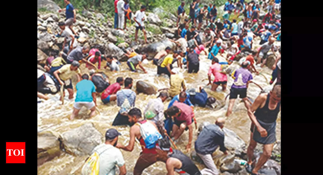 Fish-catching Fest 'maun' Celebrated Along Tehri River | Dehradun News -  Times of India