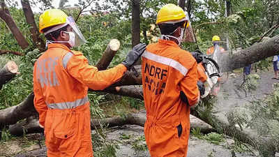 Municipal Corporation of Delhi in tie-up with NDRF to train staff in disaster management